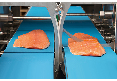 Extremely Fast and Highly Precise Meat Portion Cutter Leverages PC Control